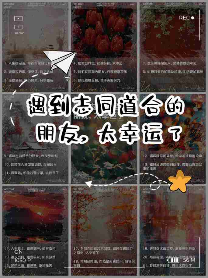 独特幸运技巧,助你幸运一路同行