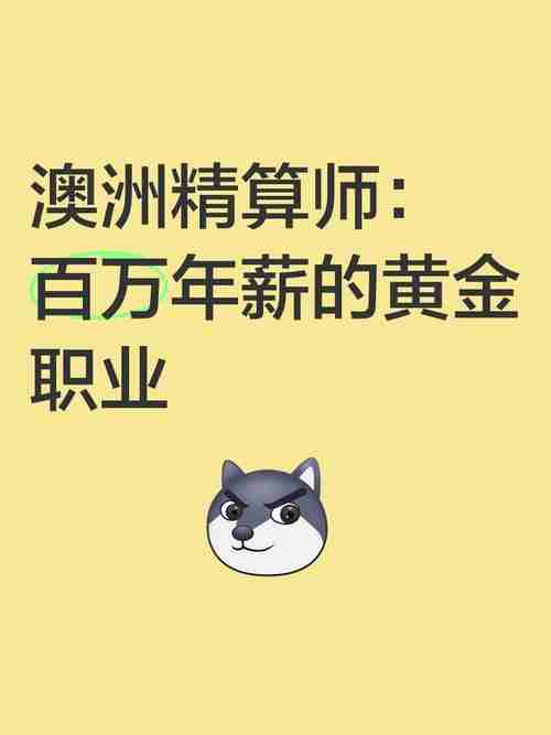 澳洲技巧宝典：职场卡壳到年薪百万的逆袭指南
